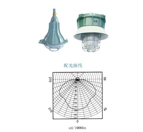 BAD系列增安型防爆防腐灯(e)