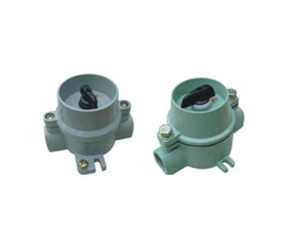 BZM-10系列防爆照明开关(Ⅱ C)