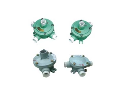 BH系列防爆接线盒(Ⅱ B、ⅡC、e)