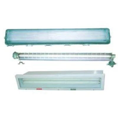 BAY□-Q系列防爆防腐全塑荧光灯（ⅡC）